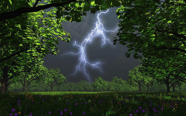 Lightning bolt trees field flowers free wallpaper for desktop - medium preview image