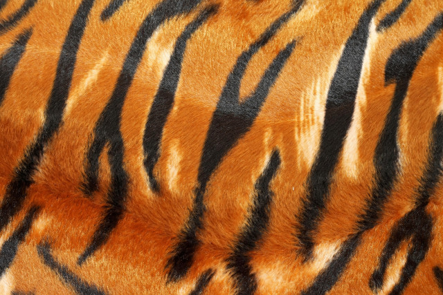 Tiger fur pattern black stripes free wallpaper for desktop - medium preview image
