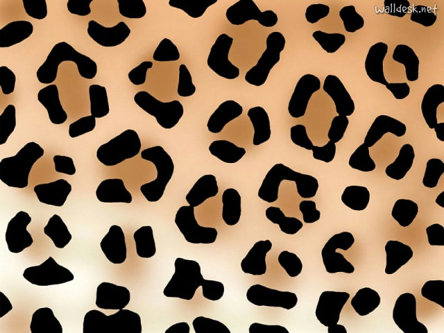 Leopard print pattern brown background free wallpaper for desktop - medium preview image