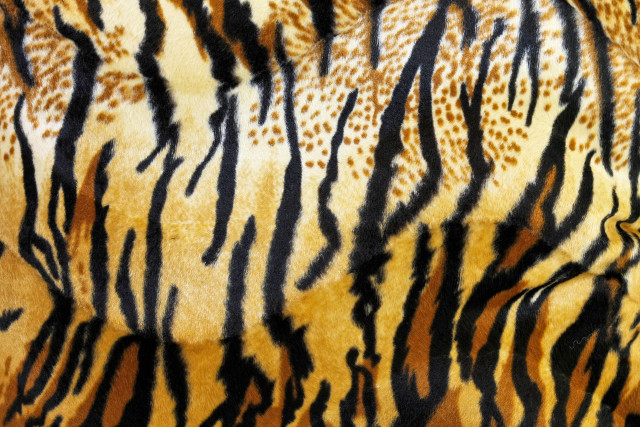 Tiger fur closeup pattern black free wallpaper for desktop - medium preview image