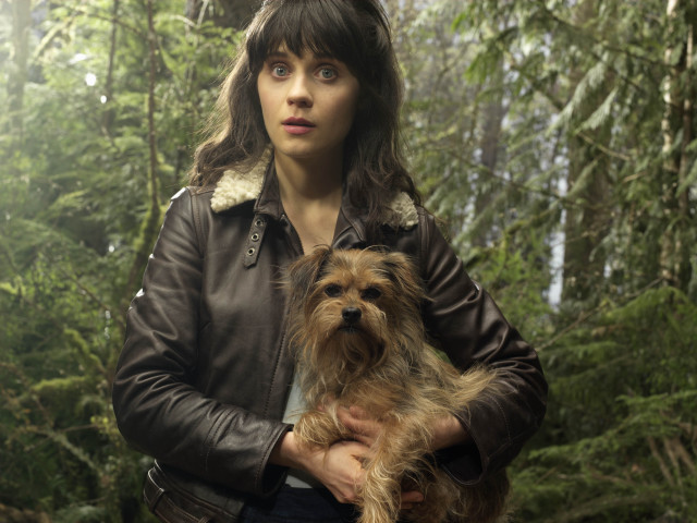 Woman leather jacket dog forest free wallpaper for desktop - medium preview image