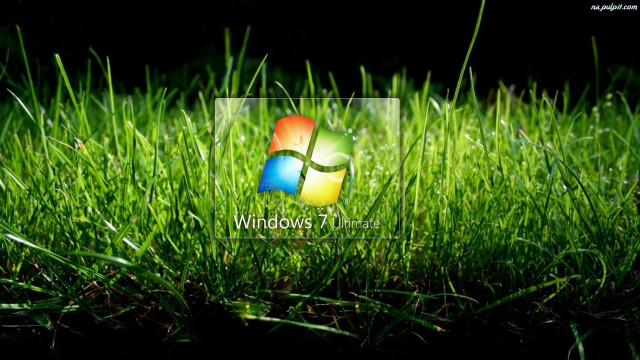 Windows 7 logo grass background free wallpaper for desktop - medium preview image