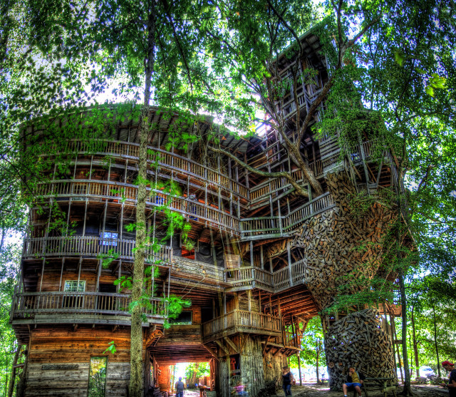 Large tree house spiral staircase free wallpaper for tablet - medium preview image