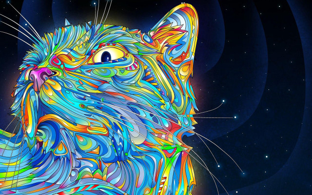 Colorful cat blue background stars #2 free wallpaper for desktop - medium preview image
