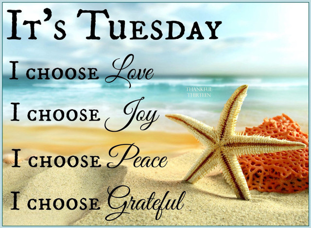 Starfish beach tuesday choose love free wallpaper for desktop - medium preview image
