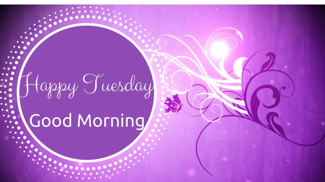 Purple flower happy tuesday morning free wallpaper for desktop - medium preview image