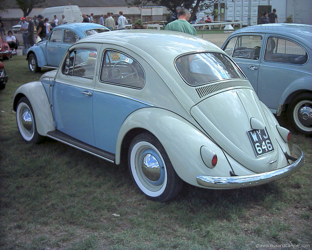 Old cars parked grass field free wallpaper for desktop - medium preview image