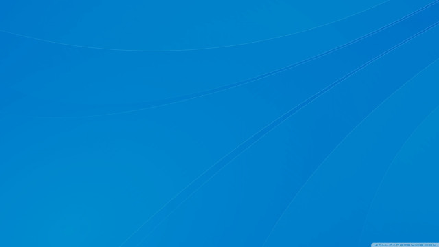 Blue background white bird flying free wallpaper for desktop - medium preview image