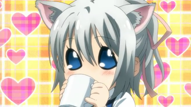 Anime cat ears character mug free wallpaper for desktop - medium preview image