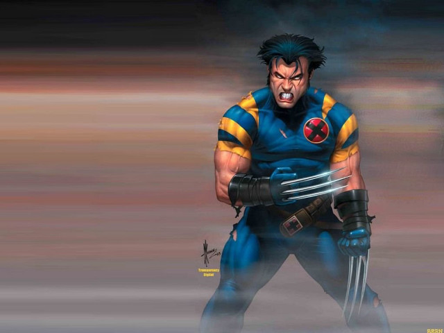 Man wolverine costume knife spider free wallpaper for desktop - medium preview image