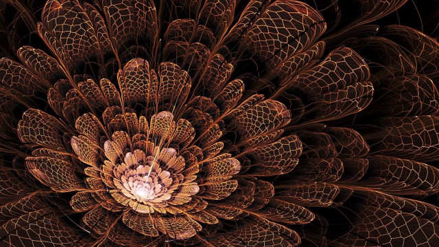 Large flower intricate center fractals free wallpaper for desktop - medium preview image