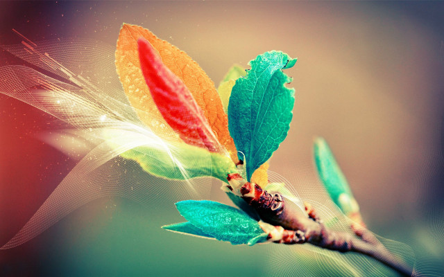 Branch flower leaves fairy butterfly free wallpaper for desktop - medium preview image