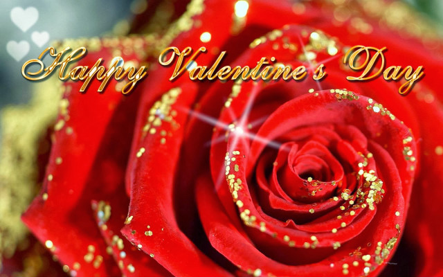 Red rose sparkle happy valentines free wallpaper for desktop - medium preview image