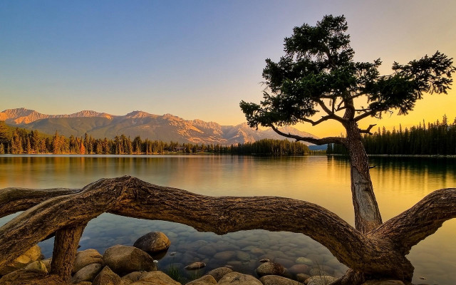 Tree lake mountains sunset dawn #5 free wallpaper for desktop - medium preview image