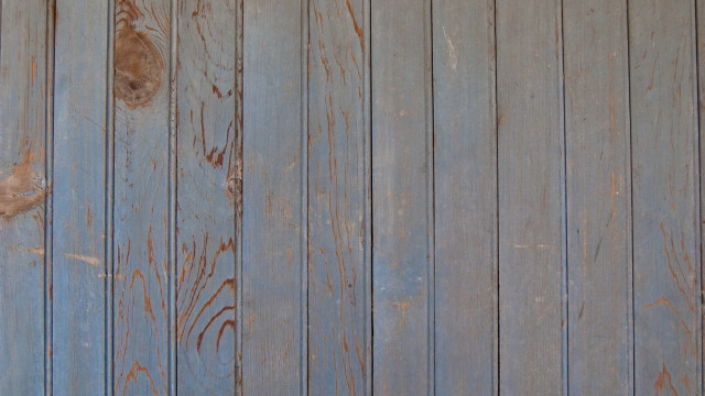 Cat sitting wooden floor peeling free wallpaper for desktop - medium preview image