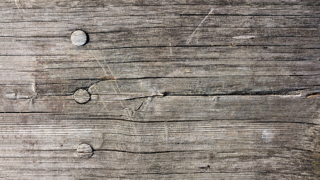 Wooden surface holes bird close #2 free wallpaper for desktop - medium preview image