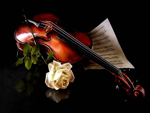 Violin rose table music sheets free wallpaper for desktop - medium preview image