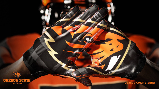Close up person glove tiger free wallpaper for desktop - medium preview image