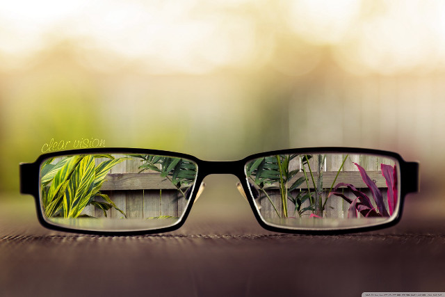 Glasses plant reflection bench macro free wallpaper for desktop - medium preview image