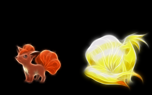 Flower cat black background light free wallpaper for desktop - medium preview image