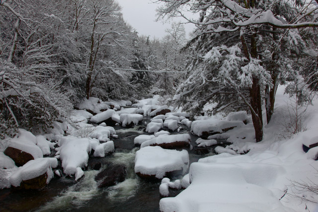 Snowy stream forest rocks trees free wallpaper for desktop - medium preview image