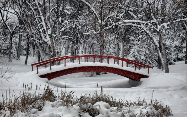 Red bridge snowy park pond #2 free wallpaper for desktop - medium preview image