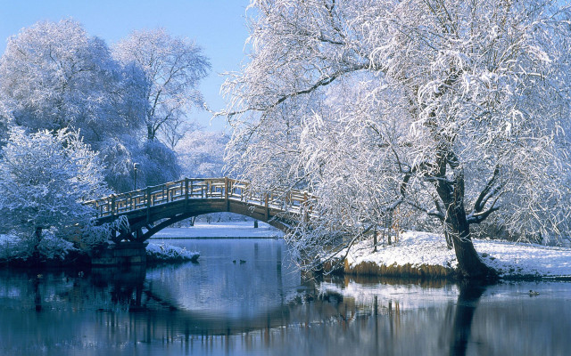Bridge river snow trees small #3 free wallpaper for desktop - medium preview image