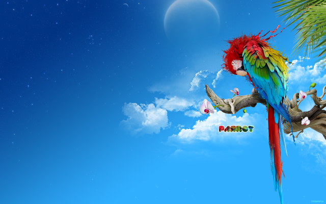 Colorful parrot sitting branch palm free wallpaper for desktop - medium preview image