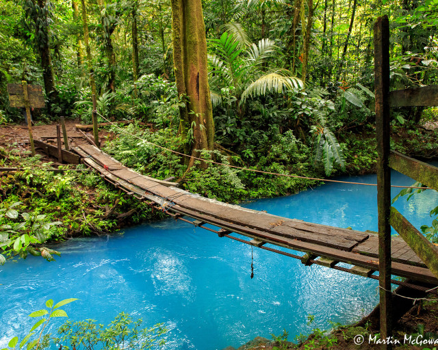 Wooden bridge river forest blue free wallpaper for desktop - medium preview image