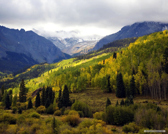 Mountain range forest trees snowy free wallpaper for desktop - medium preview image