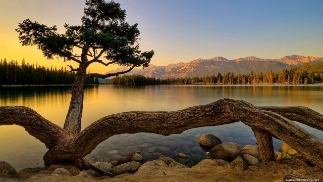 Tree lake mountains sunset dawn #4 free wallpaper for desktop - medium preview image