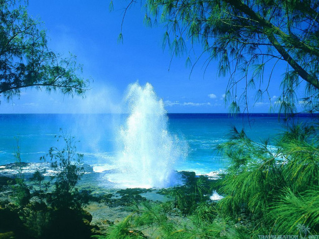 Large wave ocean sunny day #3 free wallpaper for desktop - medium preview image