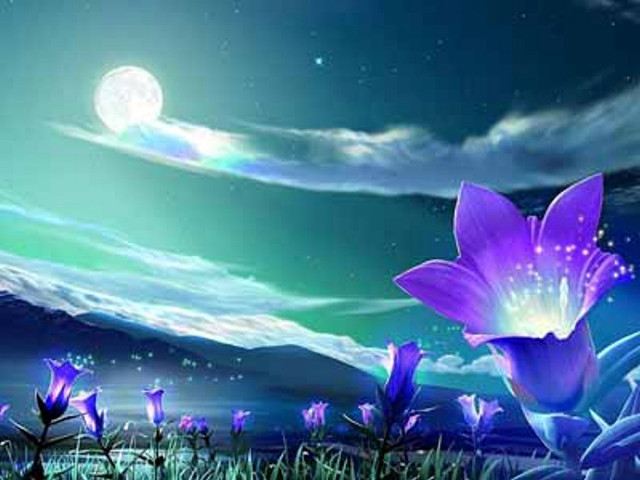 Flower night sky full moon #2 free wallpaper for desktop - medium preview image