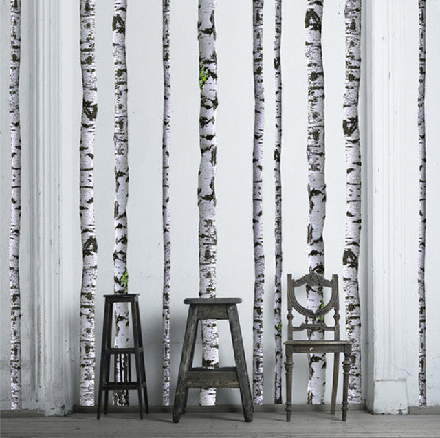 Chair stool wall birch trees free wallpaper for tablet - medium preview image
