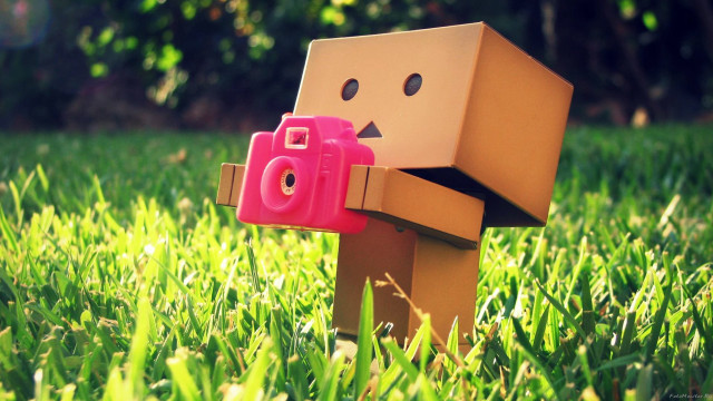 Toy camera cardboard figure grass free wallpaper for desktop - medium preview image