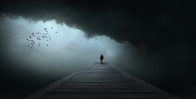 Person dock storm birds flying free wallpaper for desktop - medium preview image