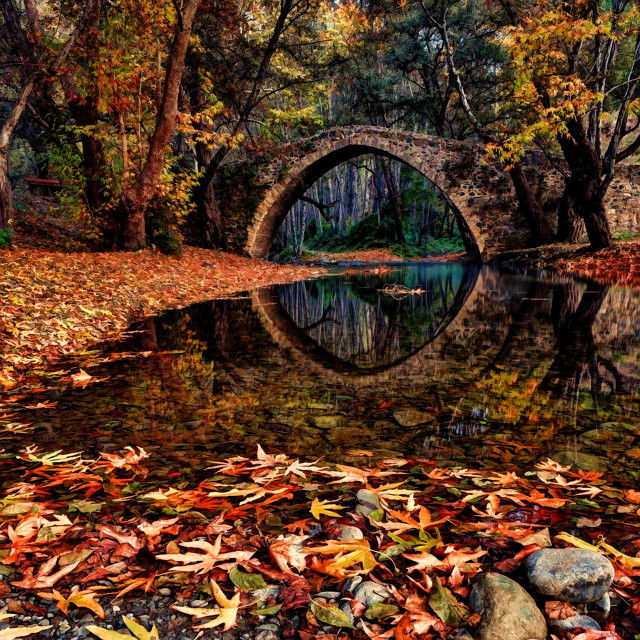 Autumn bridge river leaves trees free wallpaper for tablet - medium preview image