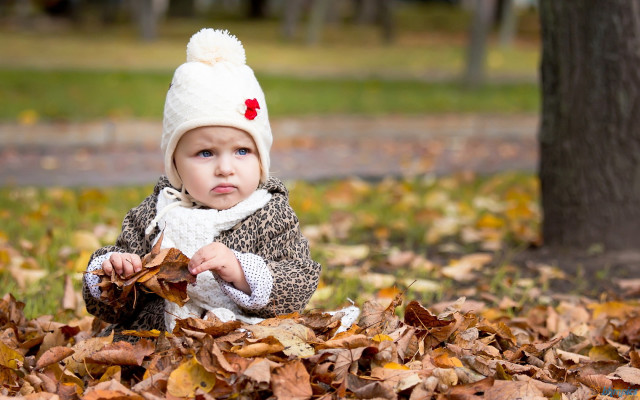 Little girl sitting leaves park free wallpaper for desktop - medium preview image