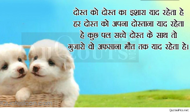 Puppies basket quote blue sky free wallpaper for desktop - medium preview image