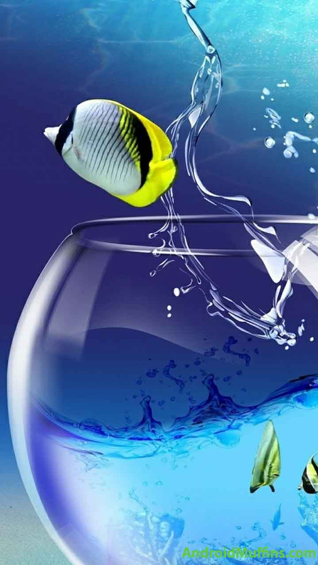 Fish bowl water plastic bottle free wallpaper for mobile - medium preview image