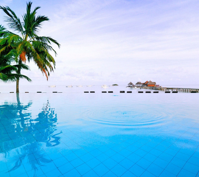 Palm tree pool pier view free wallpaper for tablet - medium preview image