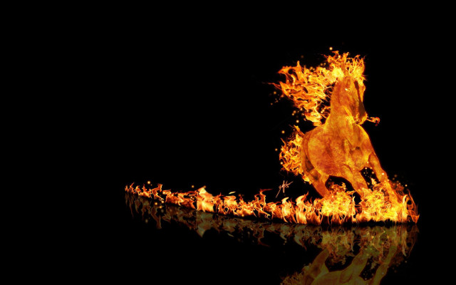 Horse running fire reflection water free wallpaper for desktop - medium preview image