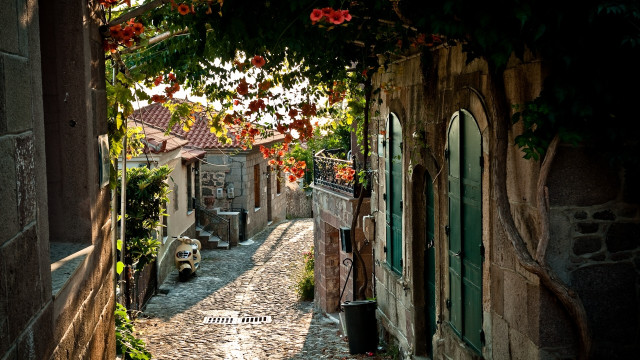 Narrow alley stone building green free wallpaper for desktop - medium preview image