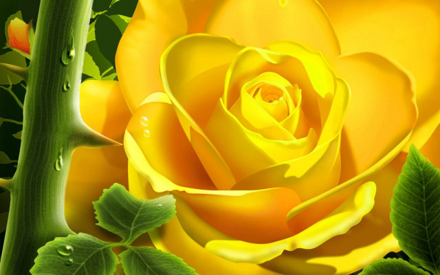 Yellow rose green leaves water free wallpaper for desktop - medium preview image