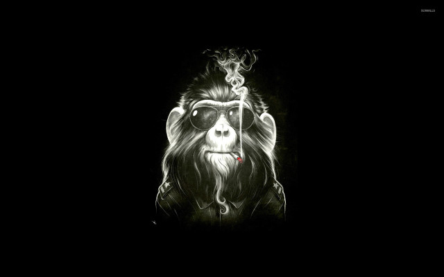 Monkey glasses cigarette smoking dark free wallpaper for desktop - medium preview image