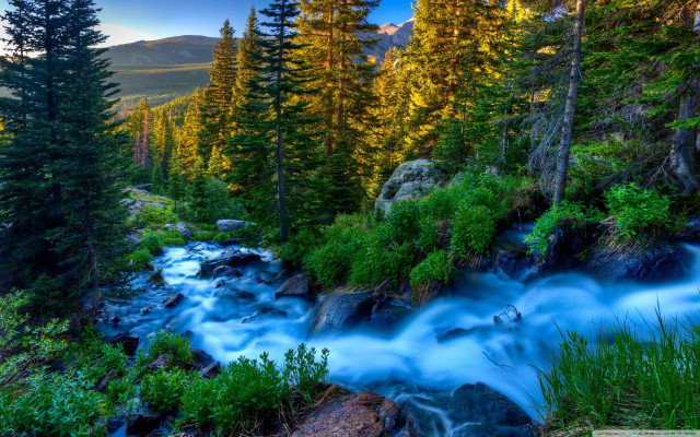 Stream water forest trees rocks free wallpaper for desktop - medium preview image