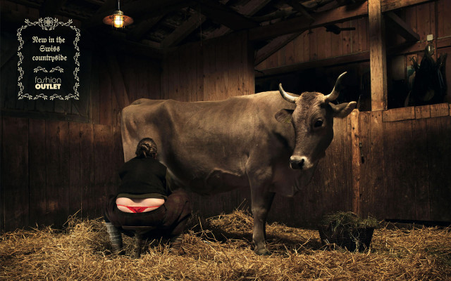 Man kneeling cow barn hay free wallpaper for desktop - medium preview image
