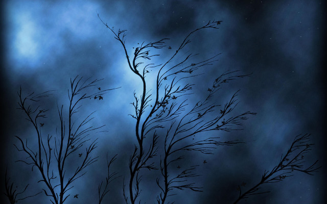 Tree branch dark sky clouds free wallpaper for desktop - medium preview image