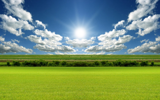 Sunlit field grass trees blue free wallpaper for desktop - medium preview image