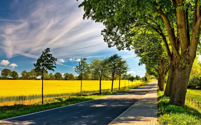 Road fence trees field blue #2 free wallpaper for desktop - medium preview image